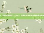 19. 视频助理裁判（VAR）在澳甲足球联赛中的应用与影响 🔍